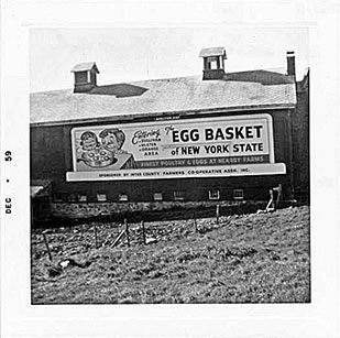 Egg Basket Billboard