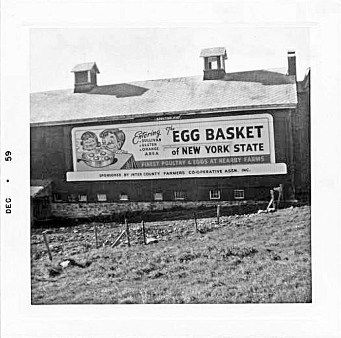 Egg Basket Sullivan County New York